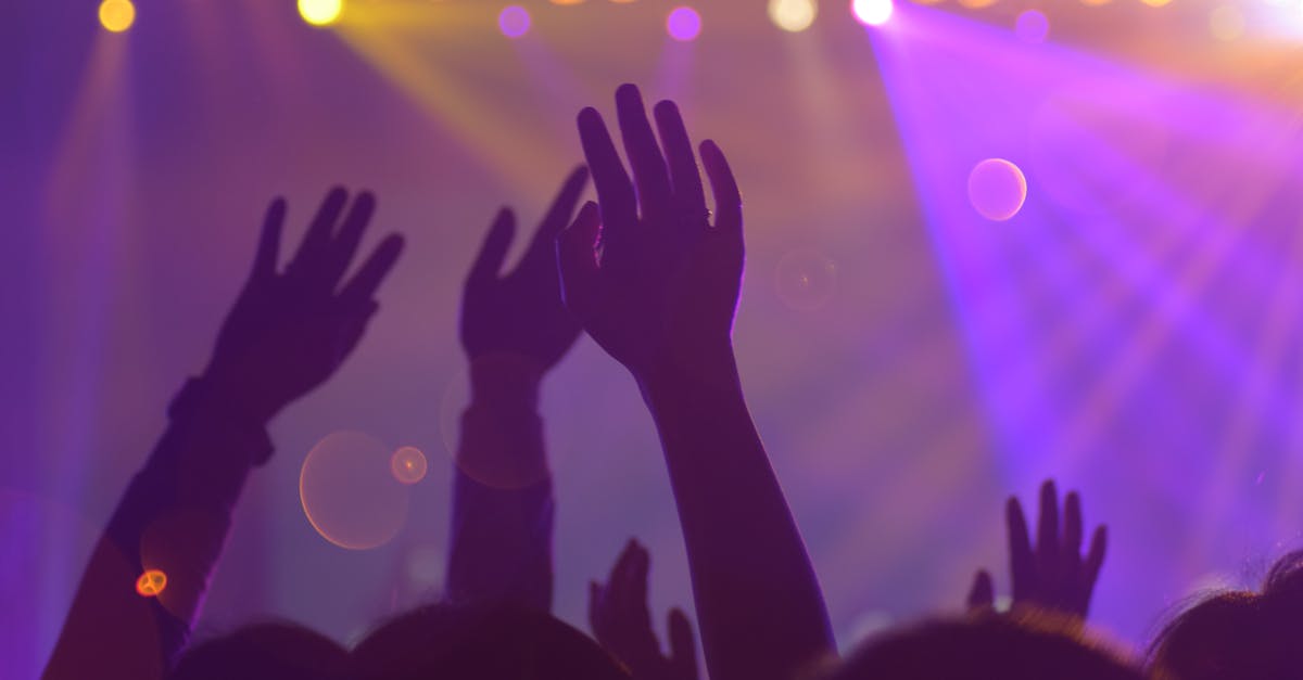 Silhouettes of a lively audience with raised hands at an energetic nightclub event.